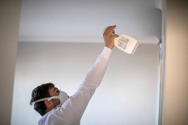 Best Commercial Mold Remediation in Union Point, GA